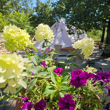 Οργανωμένο κάμπινγκ Glamping 5 *